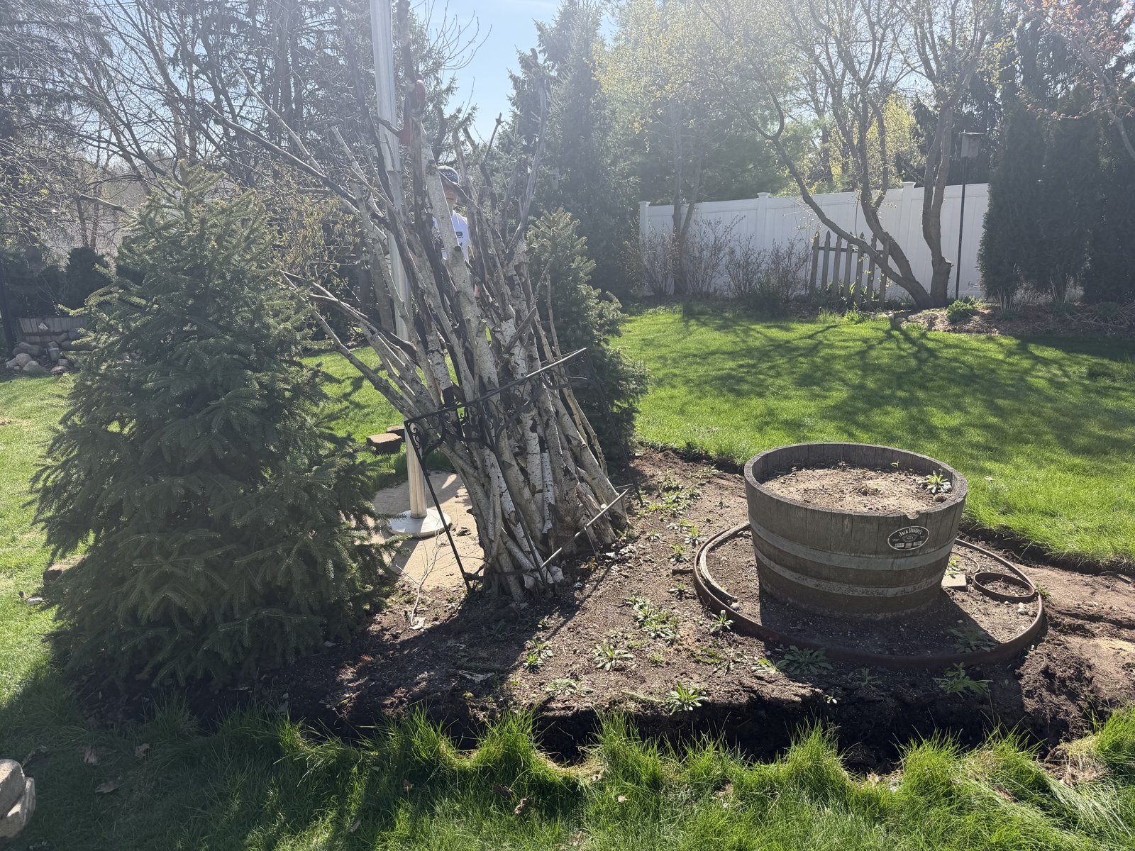 Yard cleanup before